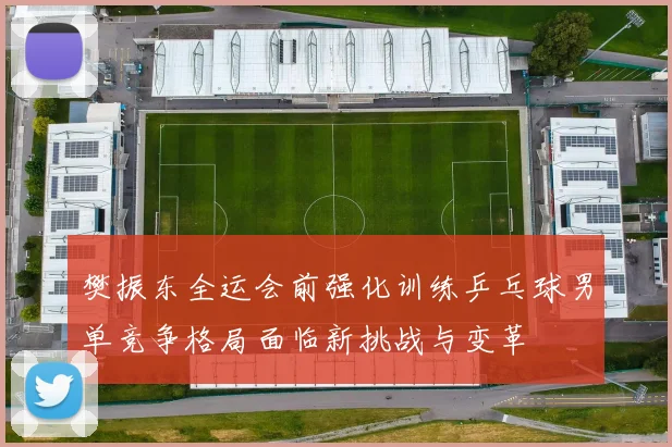 樊振东全运会前强化训练乒乓球男单竞争格局面临新挑战与变革